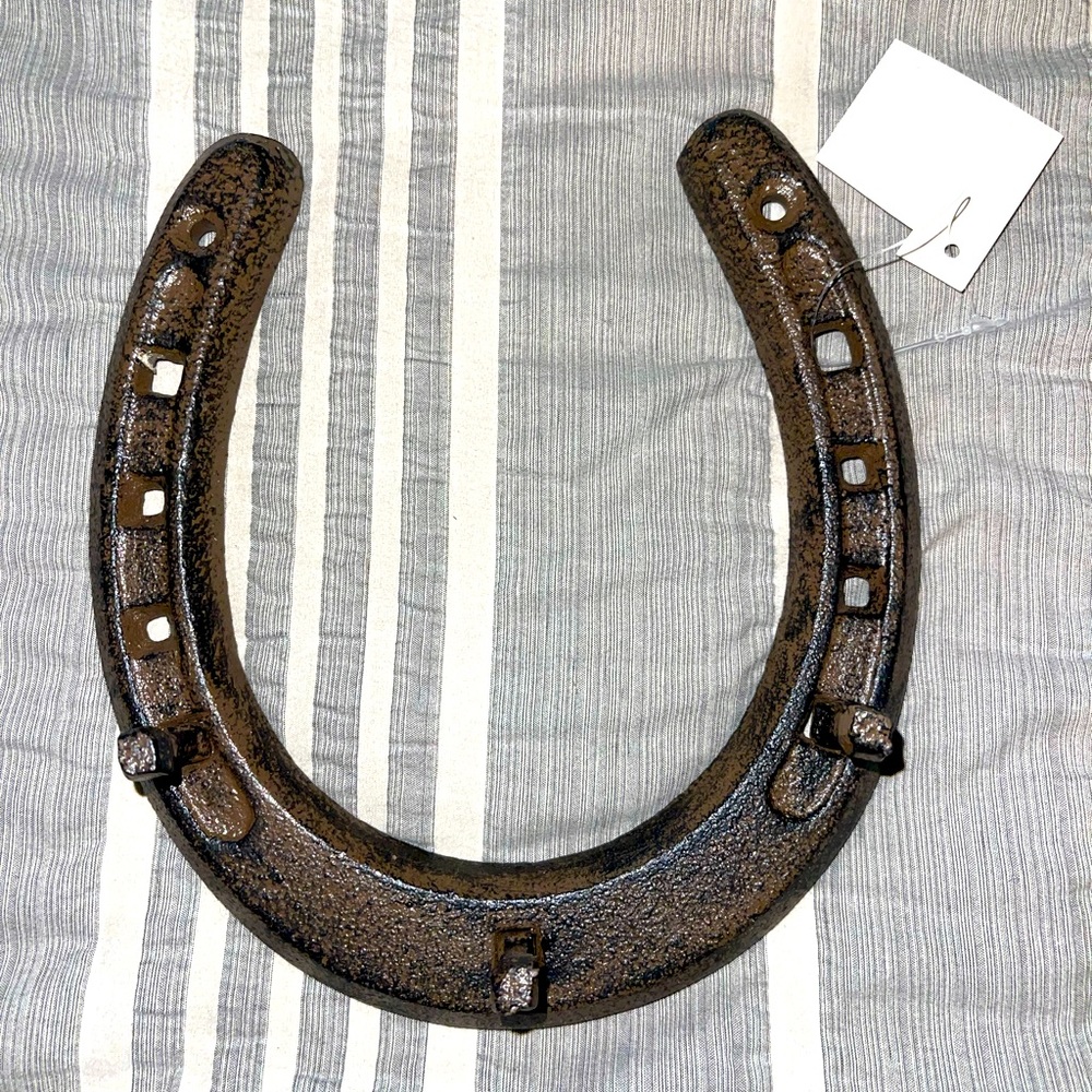 Home Decor Real Horseshoe with Hooks